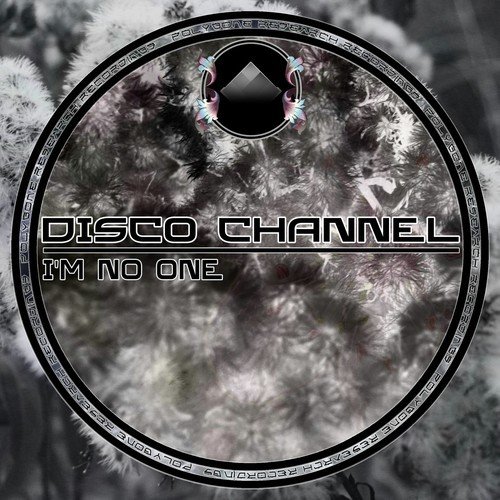 Disco Channel