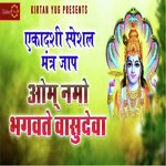OM NAMHO BHAGWATE VASUDEVAAY (Traditional)