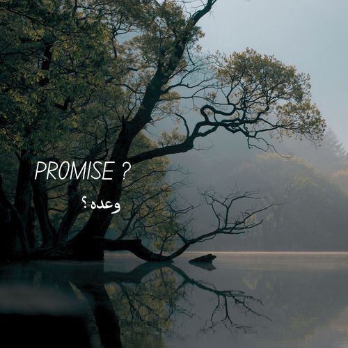 Promise ?