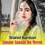 Sanam Sanam Da Meeni