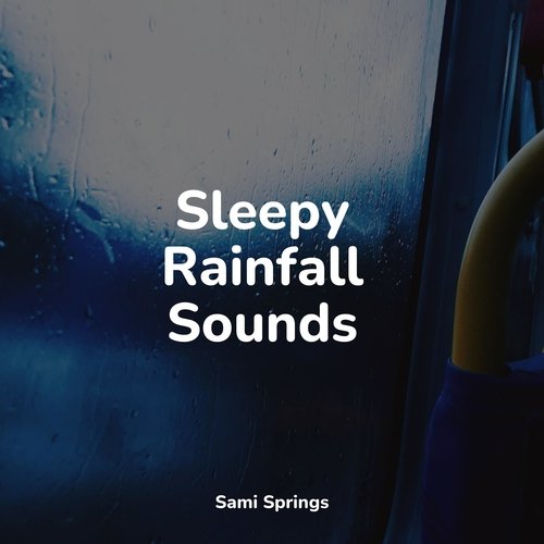 Rain, Storm and Thunder cover art
