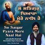 So Satgur Pyara Mere Naal Hai