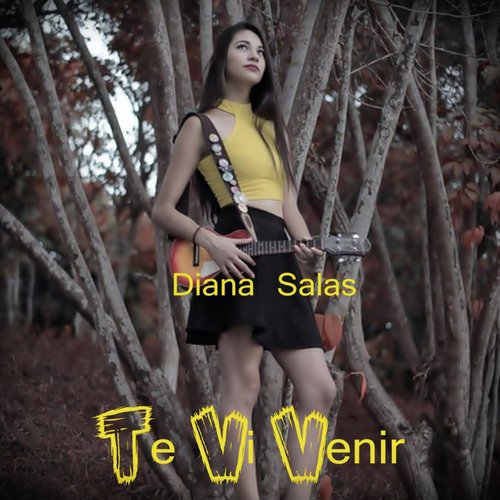 Si Tu No Estas Aqui cover art