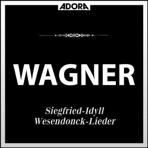 Wesendonck-Lieder für Orchester und Solostimme: No. 4, Schmerzen