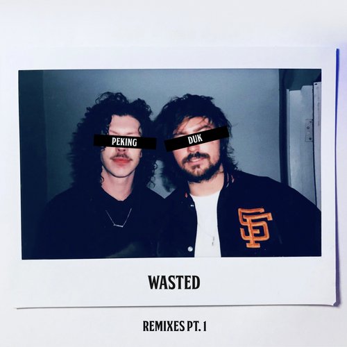 Wasted (Remixes Pt. 1)_poster_image