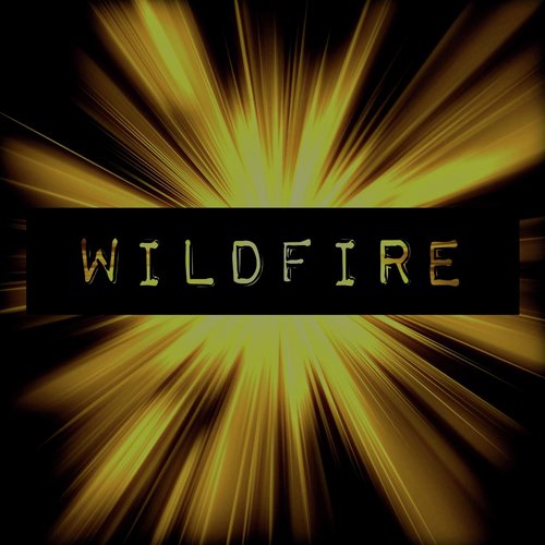 Wildfire (Nicky Rolly Remix)_poster_image