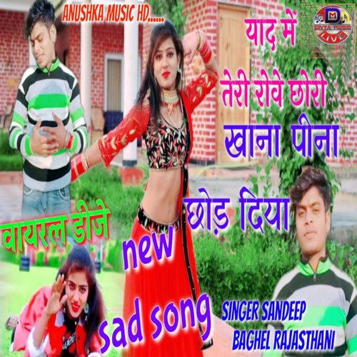 Yaad me teri robe chhori