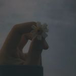 main rang sharbaton ka, tu mithe ghat ka paani (Acoustic Version)