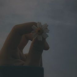 main rang sharbaton ka, tu mithe ghat ka paani (Acoustic Version)