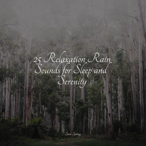 25 Relaxation Rain Sounds for Sleep and Serenity_poster_image