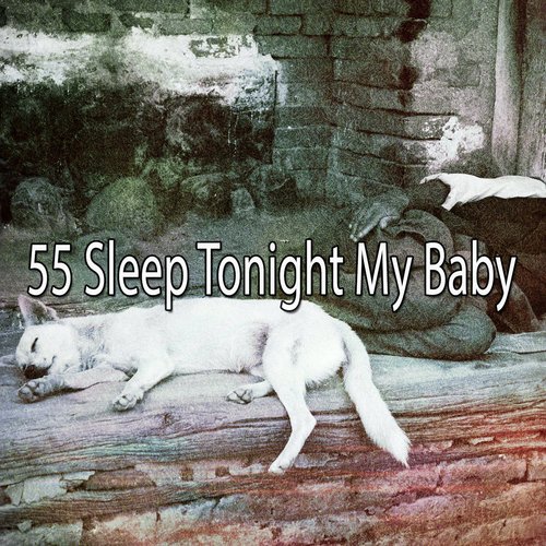 55 Sleep Tonight My Baby