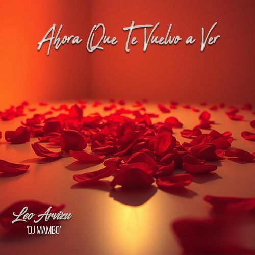 Ahora Que Te Vuelvo a Ver