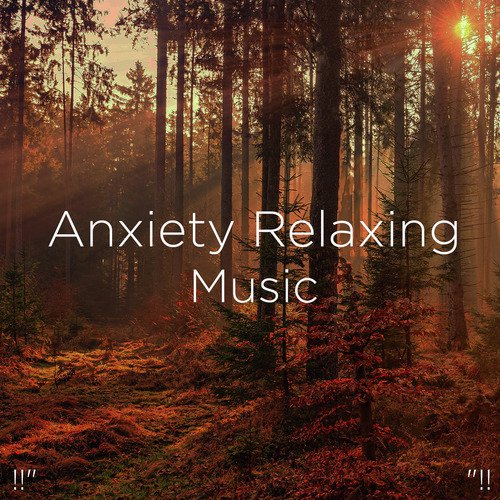 Relaxing Spa Music
