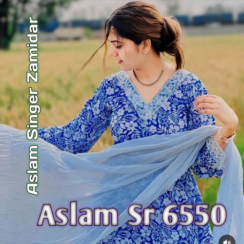 Aslam Sr 6550