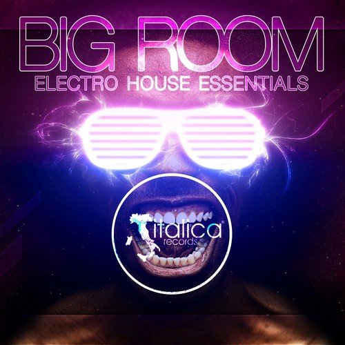 Big Room (Electro House Essentials)