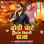 Dhodhi Chate Aaja Bihari Raja