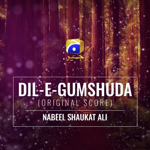 Dil-E-Gumshuda (Original Score)_poster_image