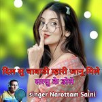 Dil Su Chabadi Mhari Janu Mile Saesu Ke Dole