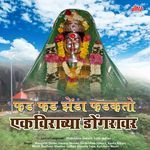 Ekveera Aaicha Gondhal Mandila