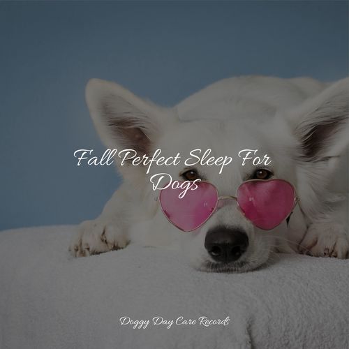 Fall Perfect Sleep For Dogs_poster_image