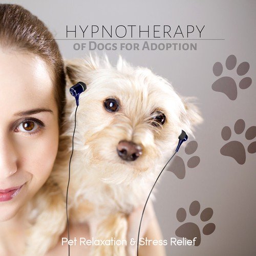 Hypnotherapy of Dogs for Adoption - Calming Music for Pets, Relaxing Dog Music, Peaceful Puppies, Sleep Aids, Pet Relaxation, Stress Relief