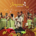 Joyous Celebration 14