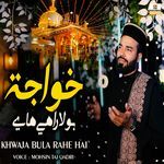 Khwaja Bula Rahe Hai
