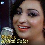Lokan Do Do Yar Banaye