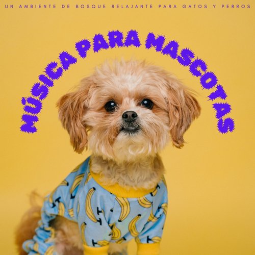 Gatos Dormidos cover art