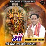 Maa Tere Bin Reh Nahi Paunga