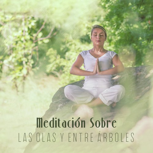 Musica para Yoga cover art