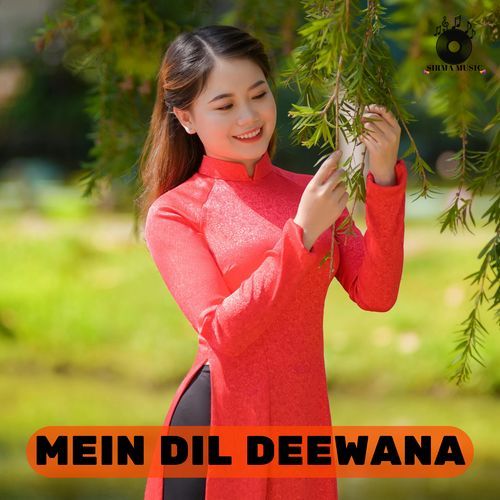 Mein Dil Deewana