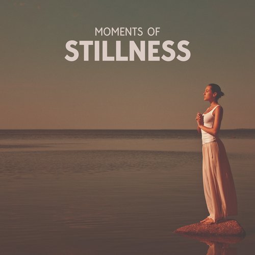 Moments of Stillness: Finding Beauty in Pause