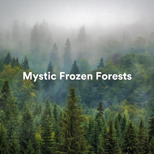 Mystic Frozen Forests_poster_image