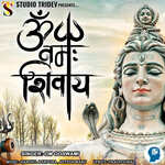 Om Namah Shivay