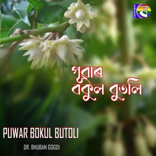 PUWAR BOKUL BUTOLI