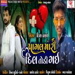 Pagal Mari Dil Todi Gai