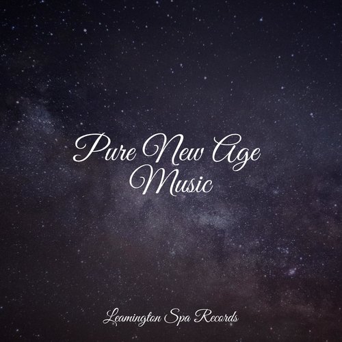Pure New Age Music