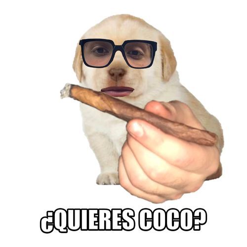 Quieres coco?_poster_image