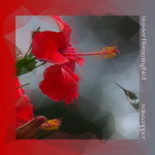 Sinister Hummingbird