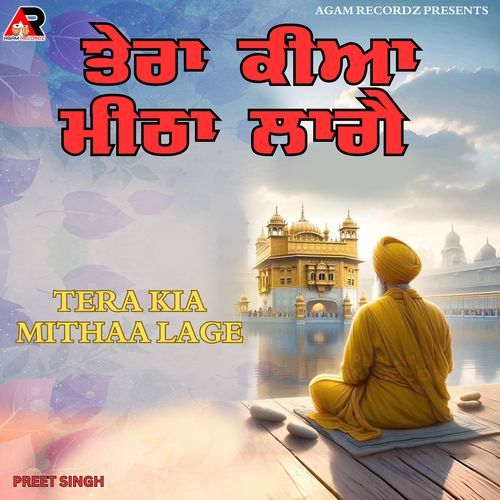 Tera Kia Mithaa Lage