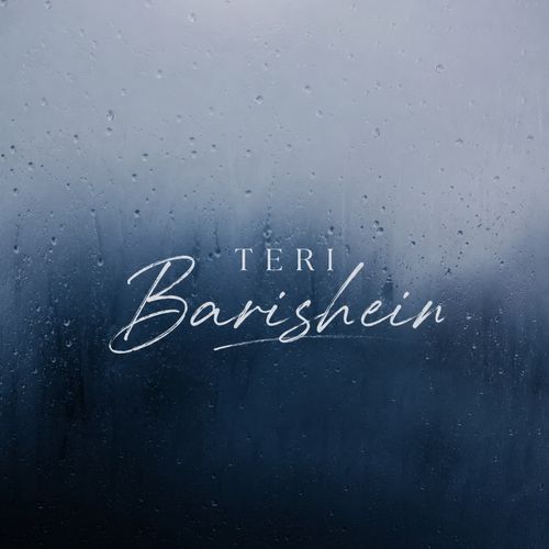 Teri Barishein