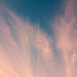 The Frenzied Dominion