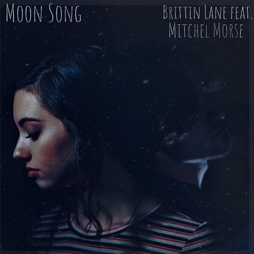 The Moon Song (feat. Mitchel Morse)