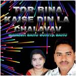 Tor Bina Kaise Din La Chalavav