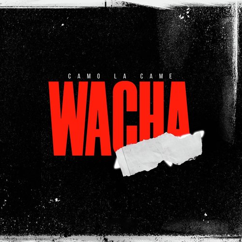 Wacha_poster_image