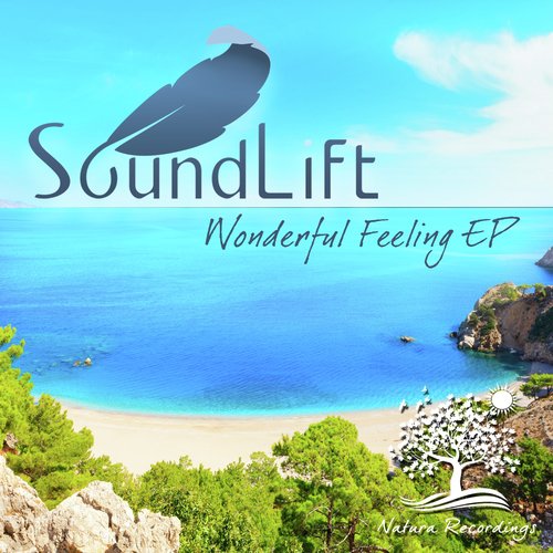 Wonderful Feeling EP