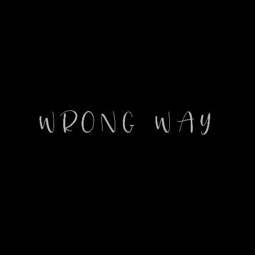 Wrong Way