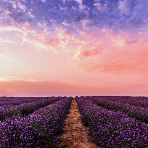 20 Soothing Sounds of Nature for Yoga