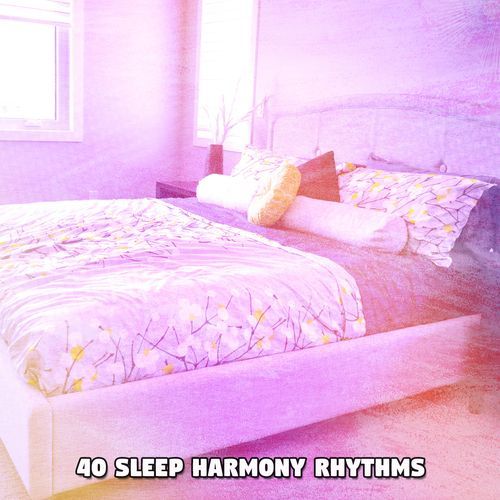 40 Sleep Harmony Rhythms_poster_image